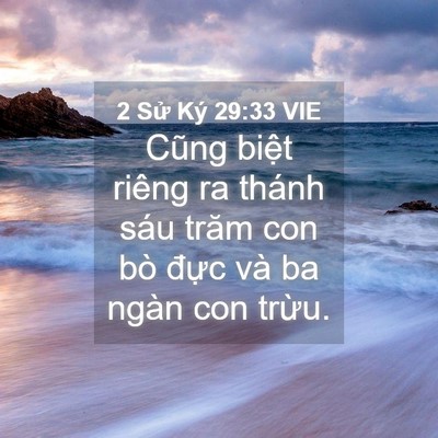 Picture 04 - 2 Sử Ký 29:33 VIE - Cũng biệt riêng ra thánh sáu trăm con bò - Bible Verse Picture
