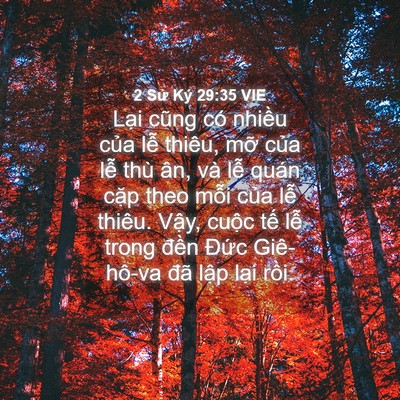 Picture 04 - 2 Sử Ký 29:35 VIE - Lại cũng có nhiều của lễ thiêu, mỡ - Bible Verse Picture