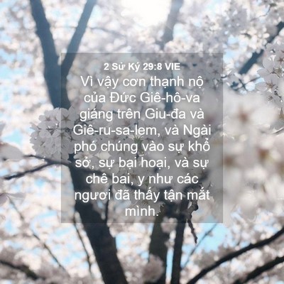 Picture 04 - 2 Sử Ký 29:8 VIE - Vì vậy cơn thạnh nộ của Đức - Bible Verse Picture