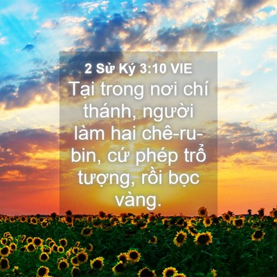 Picture 04 - 2 Sử Ký 3:10 VIE - Tại trong nơi chí thánh, người làm hai - Bible Verse Picture