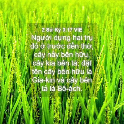 Picture 04 - 2 Sử Ký 3:17 VIE - Người dựng hai trụ đó ở trước - Bible Verse Picture