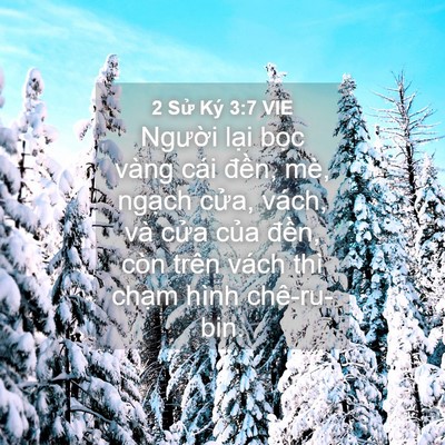 Picture 04 - 2 Sử Ký 3:7 VIE - Người lại bọc vàng cái đền, mè, - Bible Verse Picture