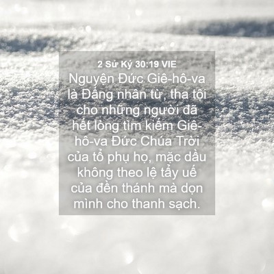 Picture 04 - 2 Sử Ký 30:19 VIE - Nguyện Đức Giê-hô-va là Đấng nhân - Bible Verse Picture
