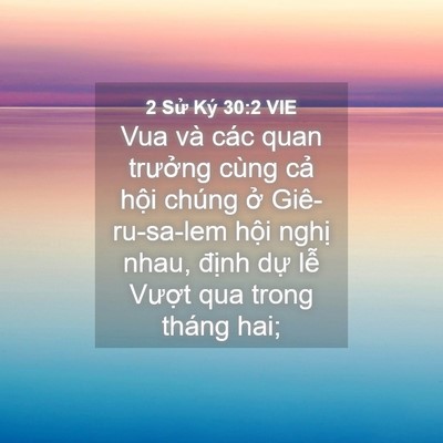 Picture 04 - 2 Sử Ký 30:2 VIE - Vua và các quan trưởng cùng cả hội - Bible Verse Picture