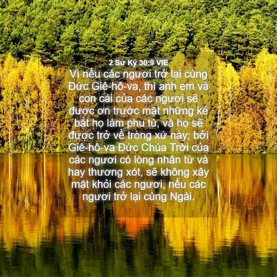 Picture 04 - 2 Sử Ký 30:9 VIE - Vì nếu các ngươi trở lại cùng Đức - Bible Verse Picture