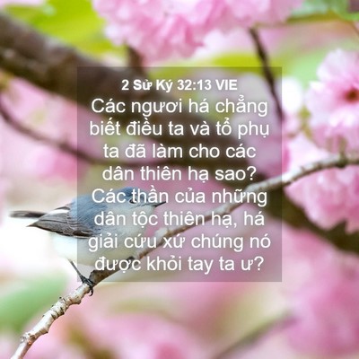 Picture 04 - 2 Sử Ký 32:13 VIE - Các ngươi há chẳng biết điều ta và - Bible Verse Picture