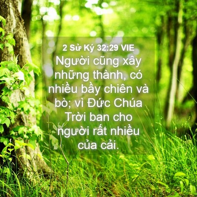 Picture 04 - 2 Sử Ký 32:29 VIE - Người cũng xây những thành, có nhiều - Bible Verse Picture