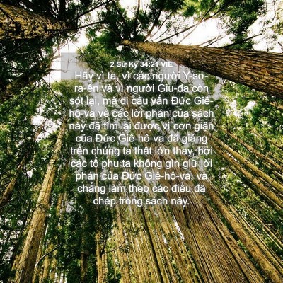 Picture 04 - 2 Sử Ký 34:21 VIE - Hãy vì ta, vì các người Y-sơ-ra-ên và - Bible Verse Picture