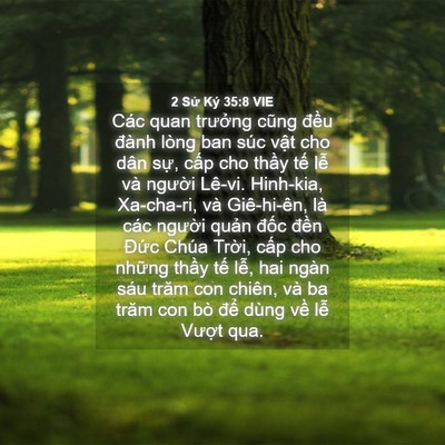 Picture 04 - 2 Sử Ký 35:8 VIE - Các quan trưởng cũng đều đành lòng ban - Bible Verse Picture