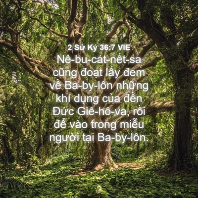 Picture 04 - 2 Sử Ký 36:7 VIE - Nê-bu-cát-nết-sa cũng đoạt lấy đem - Bible Verse Picture