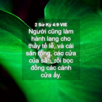 Picture 04 - 2 Sử Ký 4:9 VIE - Người cũng làm hành lang cho thầy tế - Bible Verse Picture