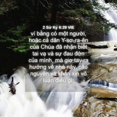 Picture 04 - 2 Sử Ký 6:29 VIE - ví bằng có một người, hoặc cả dân - Bible Verse Picture