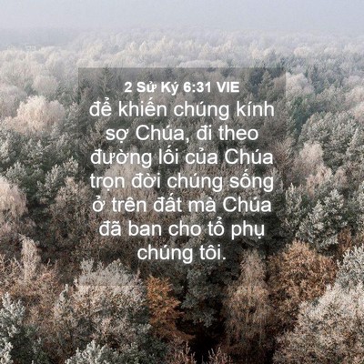 Picture 04 - 2 Sử Ký 6:31 VIE - để khiến chúng kính sợ Chúa, đi theo - Bible Verse Picture