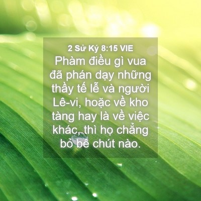 Picture 04 - 2 Sử Ký 8:15 VIE - Phàm điều gì vua đã phán dạy những - Bible Verse Picture