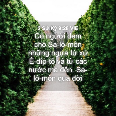 Picture 04 - 2 Sử Ký 9:28 VIE - Có người đem cho Sa-lô-môn những ngựa - Bible Verse Picture
