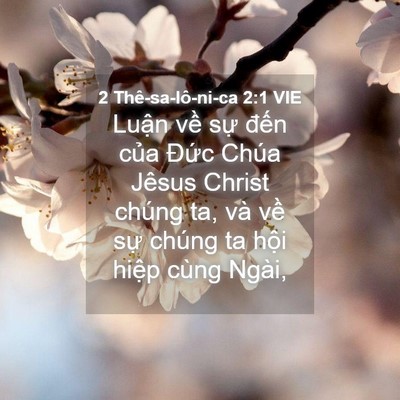 Picture 04 - 2 Thê-sa-lô-ni-ca 2:1 VIE - Luận về sự đến của Đức Chúa Jêsus - Bible Verse Picture