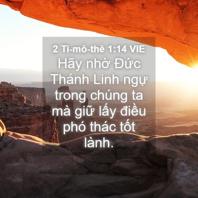 Picture 04 - 2 Ti-mô-thê 1:14 VIE - Hãy nhờ Đức Thánh Linh ngự trong chúng - Bible Verse Picture
