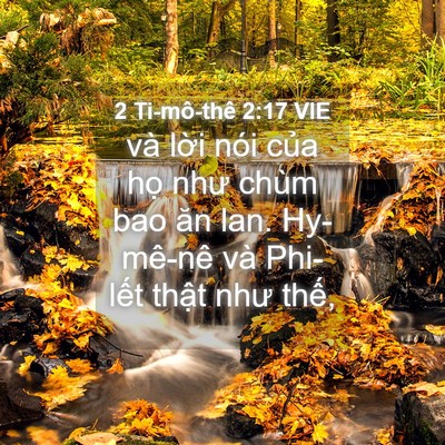 Picture 04 - 2 Ti-mô-thê 2:17 VIE - và lời nói của họ như chùm bao ăn lan. - Bible Verse Picture