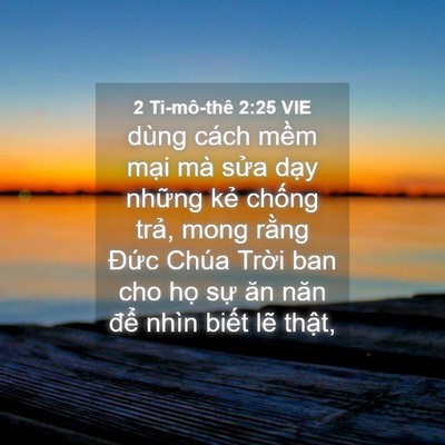 Picture 04 - 2 Ti-mô-thê 2:25 VIE - dùng cách mềm mại mà sửa dạy những - Bible Verse Picture