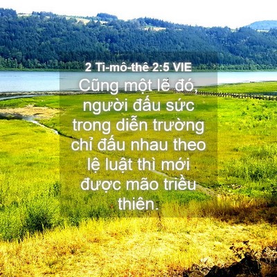 Picture 04 - 2 Ti-mô-thê 2:5 VIE - Cũng một lẽ đó, người đấu sức - Bible Verse Picture