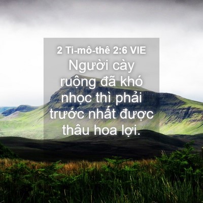 Picture 04 - 2 Ti-mô-thê 2:6 VIE - Người cày ruộng đã khó nhọc thì - Bible Verse Picture