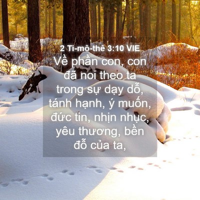 Picture 04 - 2 Ti-mô-thê 3:10 VIE - Về phần con, con đã noi theo ta trong sự - Bible Verse Picture