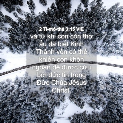 Picture 04 - 2 Ti-mô-thê 3:15 VIE - và từ khi con còn thơ ấu đã biết Kinh - Bible Verse Picture