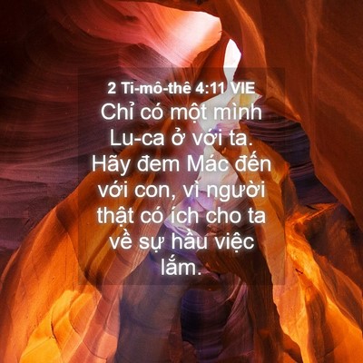 Picture 04 - 2 Ti-mô-thê 4:11 VIE - Chỉ có một mình Lu-ca ở với ta. Hãy - Bible Verse Picture