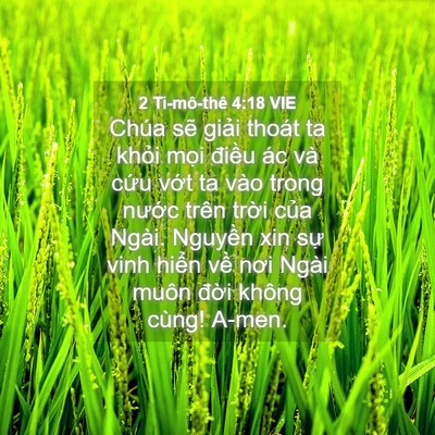 Picture 04 - 2 Ti-mô-thê 4:18 VIE - Chúa sẽ giải thoát ta khỏi mọi điều - Bible Verse Picture