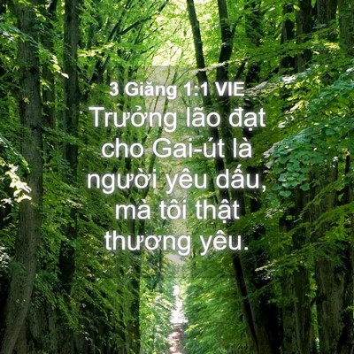Picture 04 - 3 Giăng 1:1 VIE - Trưởng lão đạt cho Gai-út là người - Bible Verse Picture