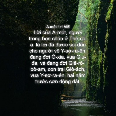 Picture 04 - A-mốt 1:1 VIE - Lời của A-mốt, người trong bọn chăn - Bible Verse Picture