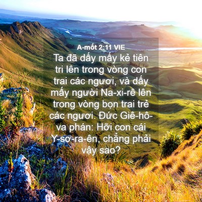 Picture 04 - A-mốt 2:11 VIE - Ta đã dấy mấy kẻ tiên tri lên trong - Bible Verse Picture