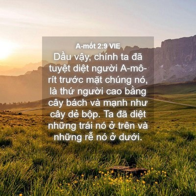 Picture 04 - A-mốt 2:9 VIE - Dầu vậy, chính ta đã tuyệt diệt - Bible Verse Picture