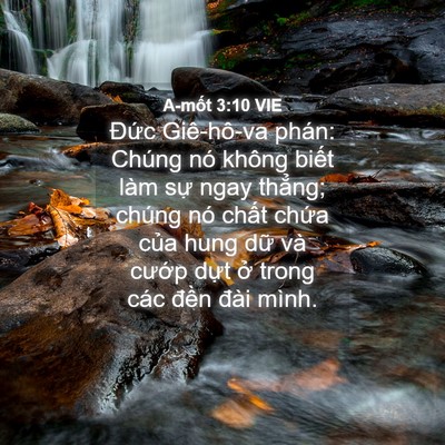 Picture 04 - A-mốt 3:10 VIE - Đức Giê-hô-va phán: Chúng nó không - Bible Verse Picture