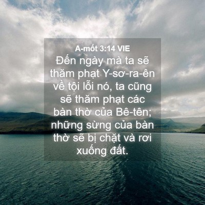 Picture 04 - A-mốt 3:14 VIE - Đến ngày mà ta sẽ thăm phạt - Bible Verse Picture