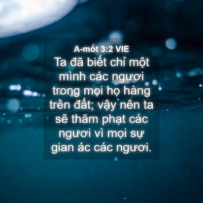 Picture 04 - A-mốt 3:2 VIE - Ta đã biết chỉ một mình các ngươi - Bible Verse Picture
