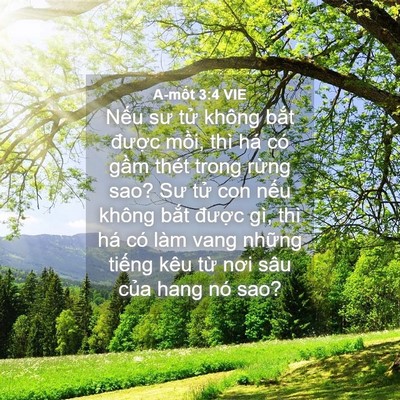 Picture 04 - A-mốt 3:4 VIE - Nếu sư tử không bắt được mồi, thì - Bible Verse Picture
