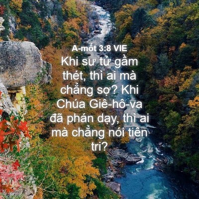 Picture 04 - A-mốt 3:8 VIE - Khi sư tử gầm thét, thì ai mà chẳng - Bible Verse Picture