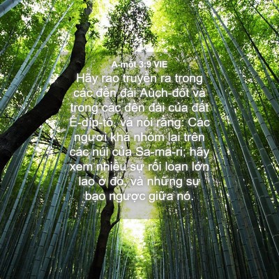 Picture 04 - A-mốt 3:9 VIE - Hãy rao truyền ra trong các đền đài - Bible Verse Picture