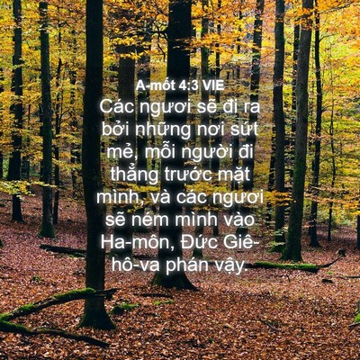 Picture 04 - A-mốt 4:3 VIE - Các ngươi sẽ đi ra bởi những nơi sứt - Bible Verse Picture