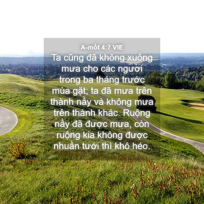 Picture 04 - A-mốt 4:7 VIE - Ta cũng đã không xuống mưa cho các - Bible Verse Picture