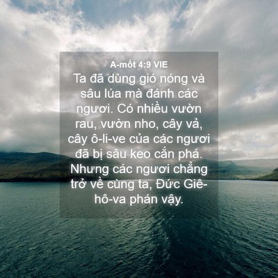 Picture 04 - A-mốt 4:9 VIE - Ta đã dùng gió nóng và sâu lúa mà đánh - Bible Verse Picture