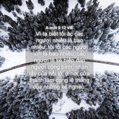 Picture 04 - A-mốt 5:12 VIE - Vì ta biết tội ác các ngươi nhiều là - Bible Verse Picture