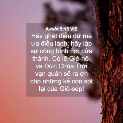 Picture 04 - A-mốt 5:15 VIE - Hãy ghét điều dữ mà ưa điều lành; - Bible Verse Picture