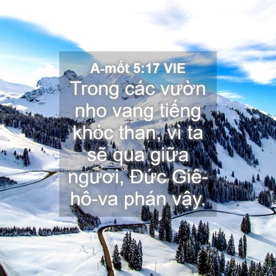Picture 04 - A-mốt 5:17 VIE - Trong các vườn nho vang tiếng khóc than, - Bible Verse Picture