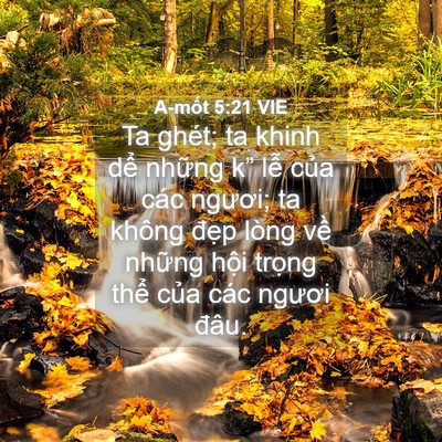 Picture 04 - A-mốt 5:21 VIE - Ta ghét; ta khinh dể những k” lễ của - Bible Verse Picture