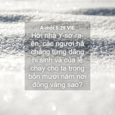 Picture 04 - A-mốt 5:25 VIE - Hỡi nhà Y-sơ-ra-ên, các ngươi há chẳng - Bible Verse Picture