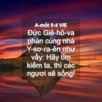 Picture 04 - A-mốt 5:4 VIE - Đức Giê-hô-va phán cùng nhà Y-sơ-ra-ên - Bible Verse Picture