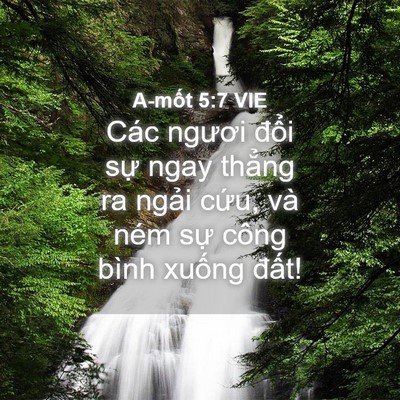 Picture 04 - A-mốt 5:7 VIE - Các ngươi đổi sự ngay thẳng ra ngải - Bible Verse Picture