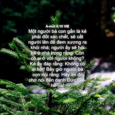 Picture 04 - A-mốt 6:10 VIE - Một người bà con gần là kẻ phải - Bible Verse Picture